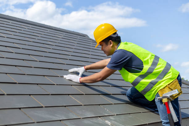 Best Roof Gutter Cleaning  in Spring Valley, IL