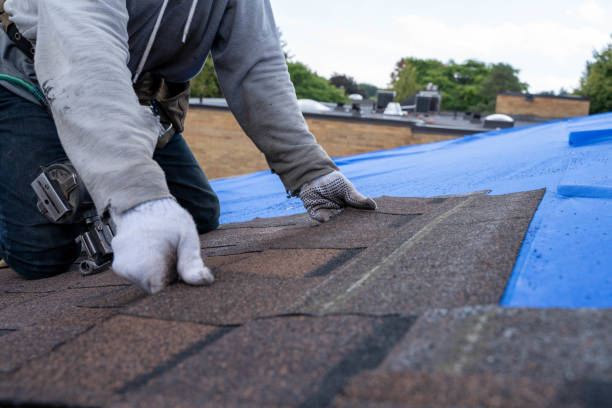 Best Roof Gutter Cleaning  in Spring Valley, IL
