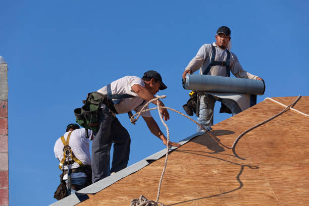 Best Gutter Installation and Roofing  in Spring Valley, IL