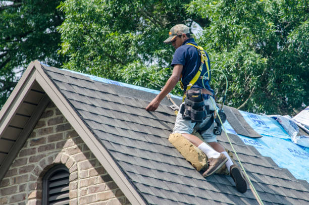 Best Roof Repair Services  in Spring Valley, IL